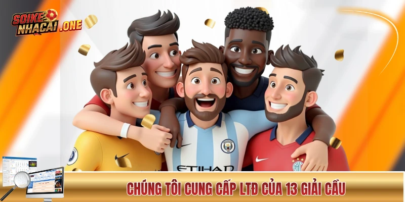 Chúng tôi cung cấp LTĐ của 13 giải cầu