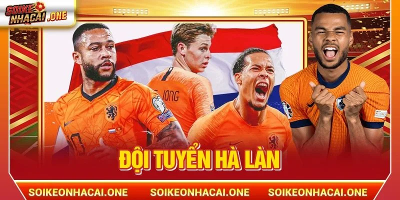 Đội Tuyển Hà Lan: Kẻ Định Hình Tư Duy Bóng Đá Hiện Đại