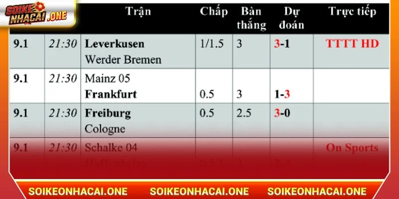 Soi kèo Bundesliga cần đọc hiểu kèo chuẩn xác.