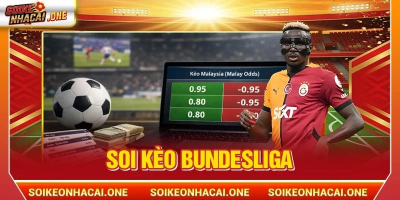 Soi Kèo Bundesliga: Kèo Cá Độ Xanh Chín HOT nhất 2026